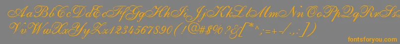 ShirleyallegroRegularDb Font – Orange Fonts on Gray Background