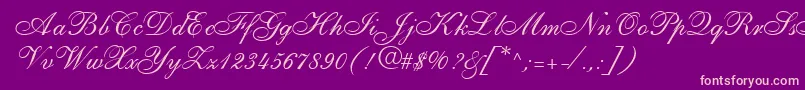 ShirleyallegroRegularDb Font – Pink Fonts on Purple Background