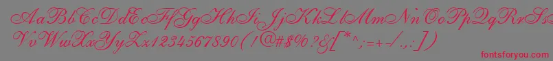 ShirleyallegroRegularDb-Schriftart – Rote Schriften auf grauem Hintergrund