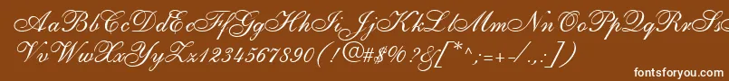 ShirleyallegroRegularDb Font – White Fonts on Brown Background