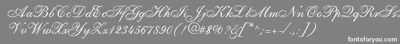ShirleyallegroRegularDb Font – White Fonts on Gray Background