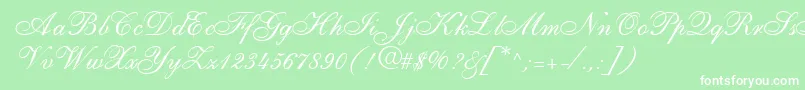 ShirleyallegroRegularDb Font – White Fonts on Green Background
