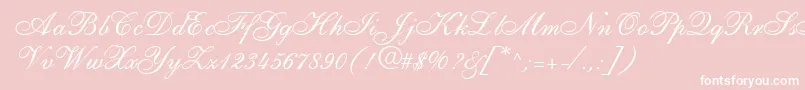 ShirleyallegroRegularDb Font – White Fonts on Pink Background