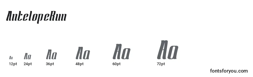 AntelopeRun Font Sizes