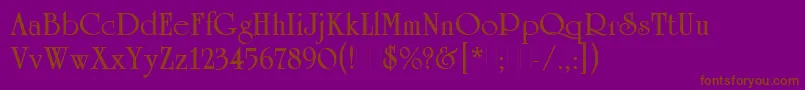 UniversityRomanBoldPlain Font – Brown Fonts on Purple Background