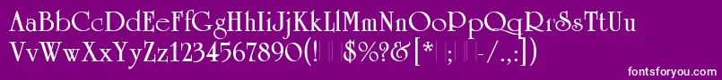 UniversityRomanBoldPlain Font – White Fonts on Purple Background