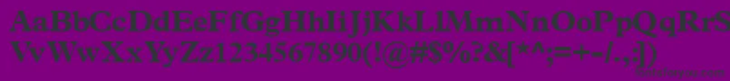 Terminusblackssk Font – Black Fonts on Purple Background