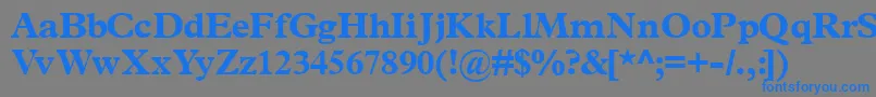 Terminusblackssk Font – Blue Fonts on Gray Background