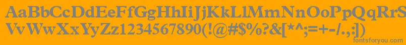 Terminusblackssk Font – Gray Fonts on Orange Background