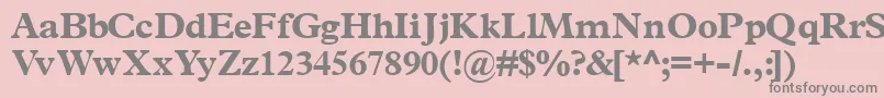 Terminusblackssk Font – Gray Fonts on Pink Background