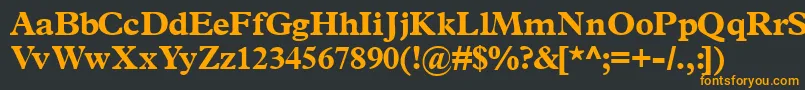 フォントTerminusblackssk – 黒い背景にオレンジの文字