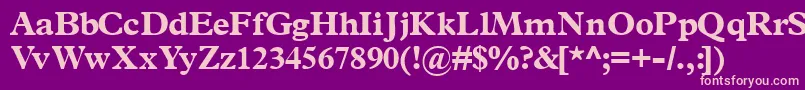 Terminusblackssk Font – Pink Fonts on Purple Background