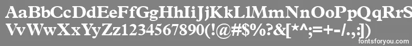 フォントTerminusblackssk – 灰色の背景に白い文字