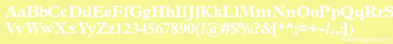 Terminusblackssk Font – White Fonts on Yellow Background