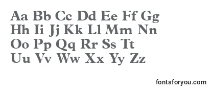 Terminusblackssk Font