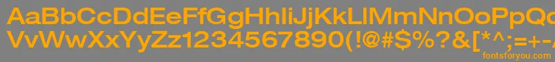 Шрифт Heaveneticaextd6Medsh – оранжевые шрифты на сером фоне