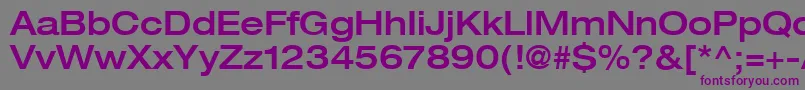 Heaveneticaextd6Medsh-fontti – violetit fontit harmaalla taustalla