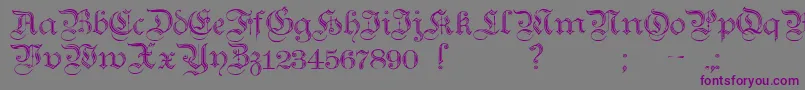 Шрифт TeutonicNo2Demibold – фиолетовые шрифты на сером фоне