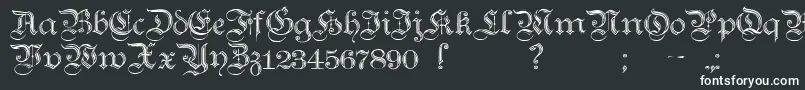 TeutonicNo2Demibold Font – White Fonts on Black Background