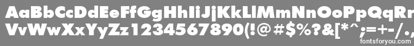 フォントFuturisextracBold – 灰色の背景に白い文字