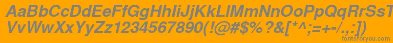 WestsanssskBolditalic Font – Gray Fonts on Orange Background