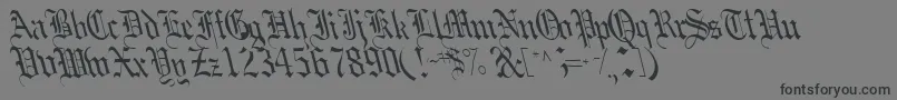 フォントBoobshelltext125RegularTtcon – 黒い文字の灰色の背景
