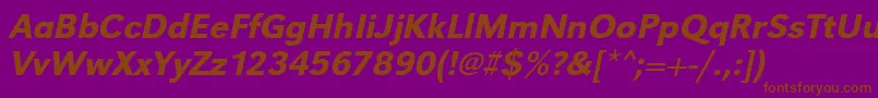 UrwgrotesktmedOblique Font – Brown Fonts on Purple Background