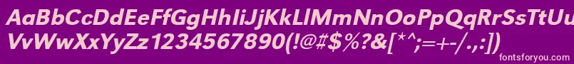 UrwgrotesktmedOblique Font – Pink Fonts on Purple Background
