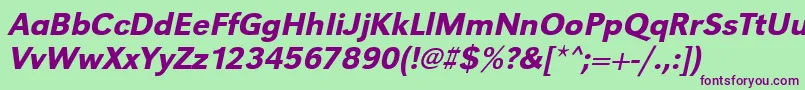 UrwgrotesktmedOblique Font – Purple Fonts on Green Background