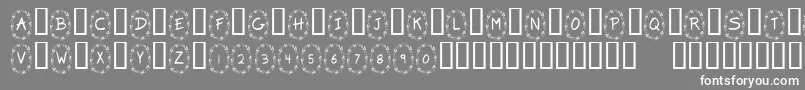 KrClover Font – White Fonts on Gray Background