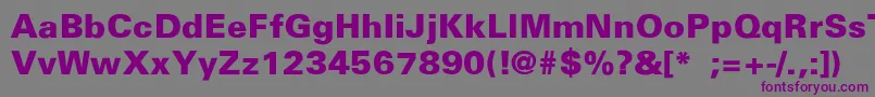 InsularBlackThin Font – Purple Fonts on Gray Background
