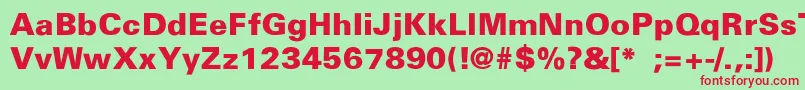 InsularBlackThin Font – Red Fonts on Green Background
