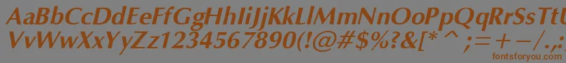 OpiumBoldItalic Font – Brown Fonts on Gray Background