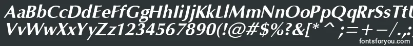 フォントOpiumBoldItalic – 白い文字