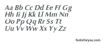 Review of the OpiumBoldItalic Font