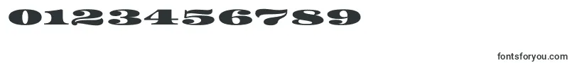 フォントAsset – 数字と数値のためのフォント