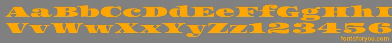 Asset Font – Orange Fonts on Gray Background