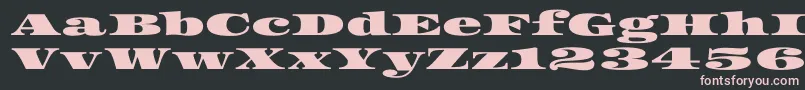 Asset Font – Pink Fonts on Black Background