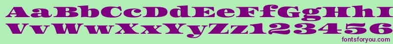 Asset Font – Purple Fonts on Green Background