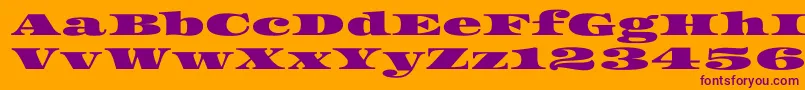 Asset Font – Purple Fonts on Orange Background