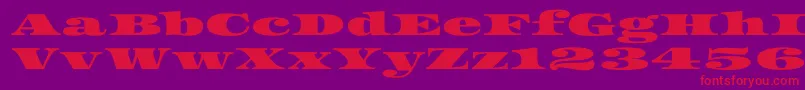 Asset Font – Red Fonts on Purple Background