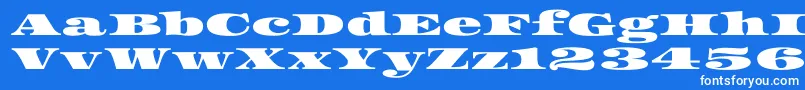 Czcionka Asset – białe czcionki na niebieskim tle