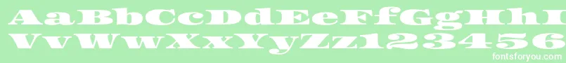 Asset Font – White Fonts on Green Background