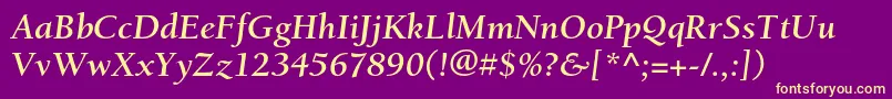 BerkeleystdBolditalic Font – Yellow Fonts on Purple Background