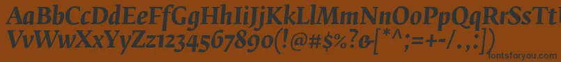 フォントFedraserifbproBolditalic – 黒い文字が茶色の背景にあります