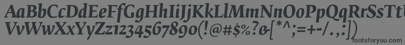 FedraserifbproBolditalic Font – Black Fonts on Gray Background