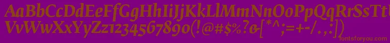 FedraserifbproBolditalic-Schriftart – Braune Schriften auf violettem Hintergrund