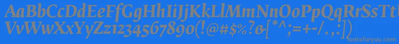 フォントFedraserifbproBolditalic – 青い背景に灰色の文字