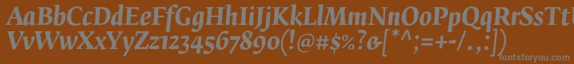 FedraserifbproBolditalic-fontti – harmaat kirjasimet ruskealla taustalla