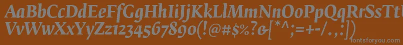 フォントFedraserifbproBolditalic – 茶色の背景に灰色の文字